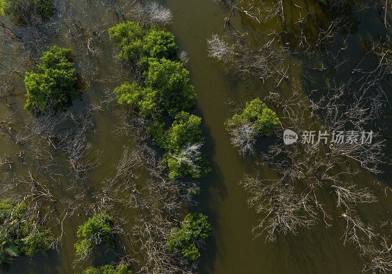 天江省Tan Thanh海滩红树林沼泽的航拍摘要照片
